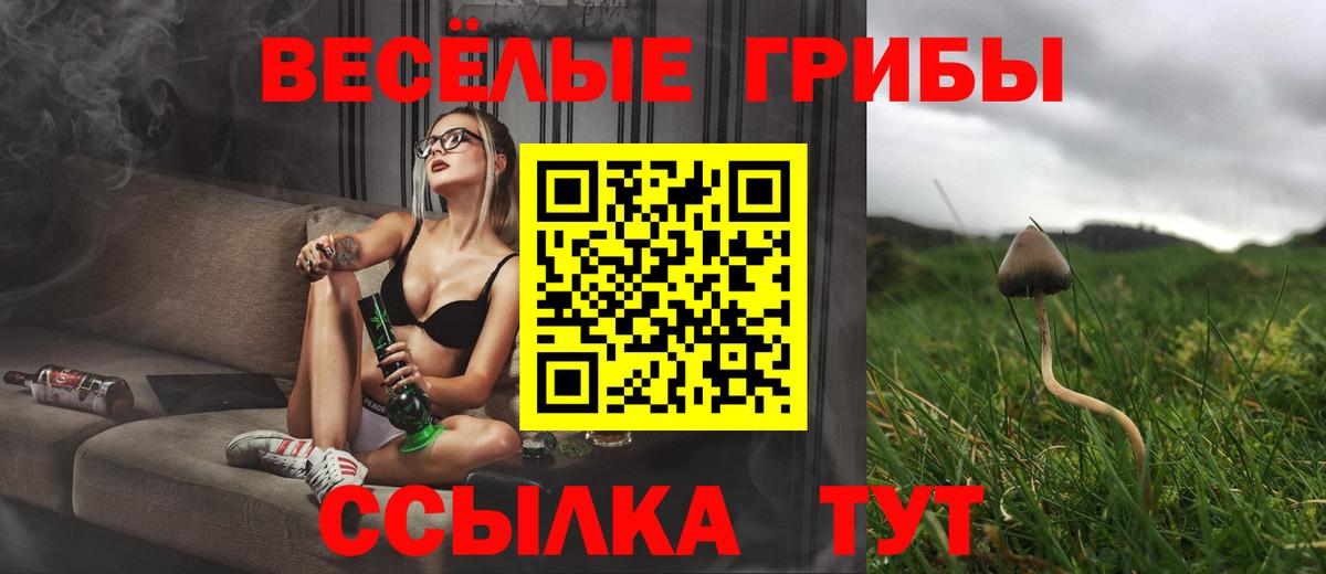 Галлюциногенные грибы Cubensis  Вход с VPN  Тобольск  Галлюциногенные грибы мицелий 